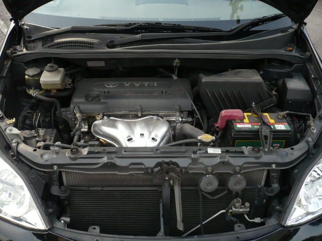 2004 Toyota Ipsum