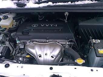 Toyota Ipsum