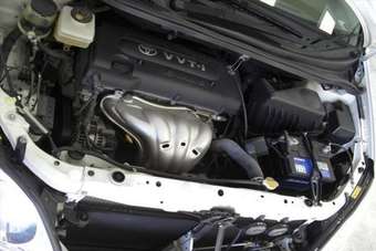 2004 Toyota Ipsum Images