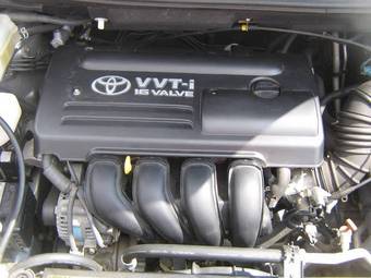 2004 Toyota Isis Pictures