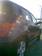Preview Toyota ist