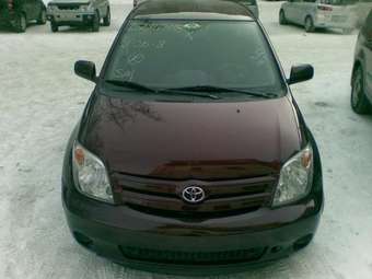 2004 Toyota ist Pictures