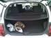 Preview Toyota ist