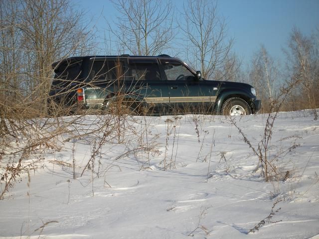 1995 Toyota Land Cruiser