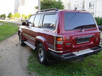 1995 Toyota Land Cruiser Images