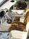 Preview Toyota Land Cruiser