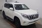 2015 Land Cruiser Prado IV CBA-TRJ150W 2.7 TX Argento Cross 4WD (163 Hp) 