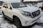 Land Cruiser Prado IV CBA-TRJ150W 2.7 TX Argento Cross 4WD (163 Hp) 