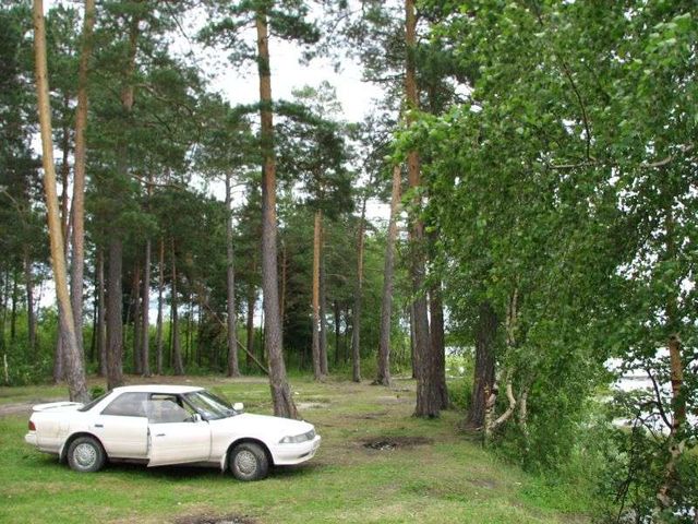 1990 Toyota Mark II