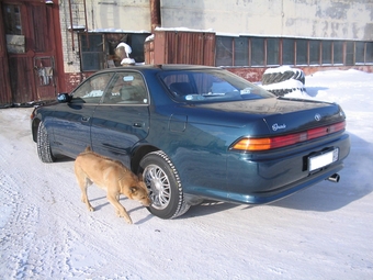 1994 Mark II