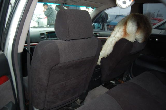 2001 Toyota Mark II