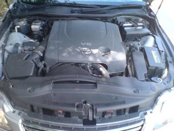 2005 Toyota Mark X Pictures
