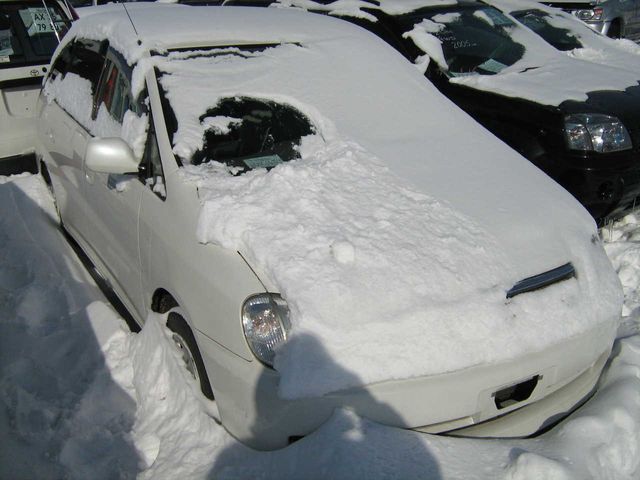 2001 Toyota Nadia