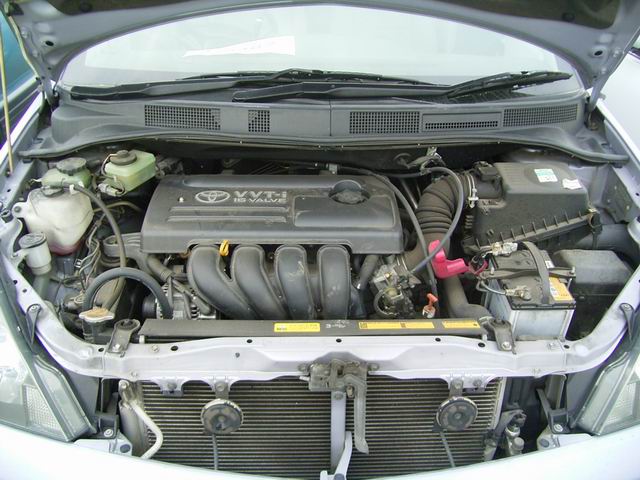 2001 Toyota Opa Pictures