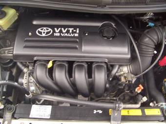 2002 Toyota Opa Pictures