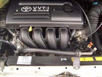 2002 Toyota Opa Pictures