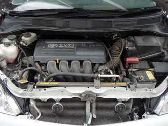 2003 Toyota Opa Pics