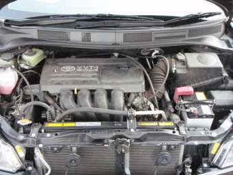 2004 Toyota Opa Photos