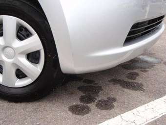 2005 Toyota Passo Photos