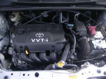 2005 Toyota Platz Pictures