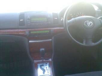 2005 Premio