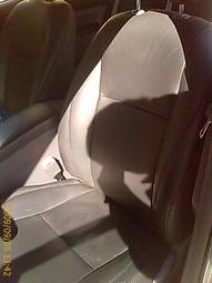 2005 Toyota Prius Photos