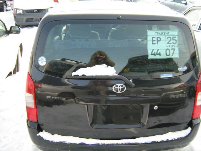 2002 Toyota Probox