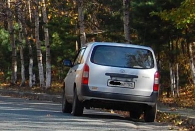 2002 Toyota Probox