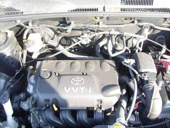 2005 Toyota Probox Photos