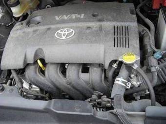 2005 Toyota Ractis Pictures