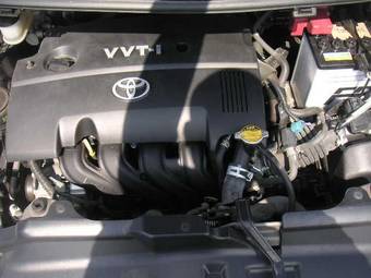 2005 Toyota Ractis Pictures