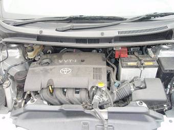 2005 Toyota Ractis Pictures