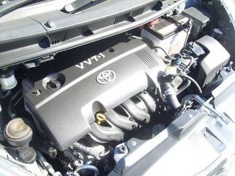 2005 Toyota Ractis Pictures