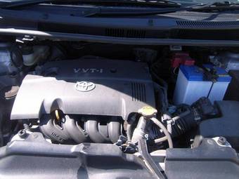 2006 Toyota Ractis Pictures