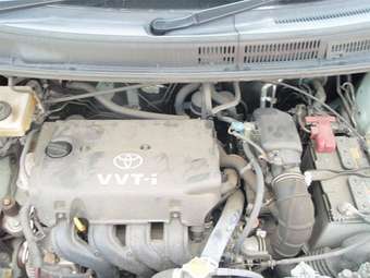 2004 Toyota Raum Pictures