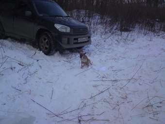2002 Toyota RAV4 Photos