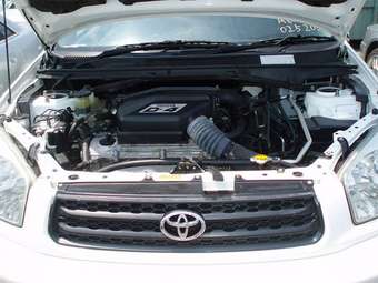 2003 Toyota RAV4 Pictures