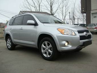 2010 Toyota RAV4 Pictures