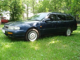 1995 Toyota Scepter