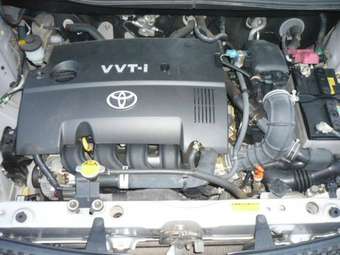 2004 Toyota Sienta Pictures