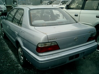 1999 Soluna