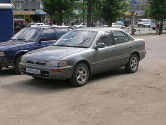 1991 Toyota Sprinter