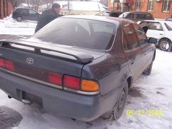 1994 Toyota Sprinter Pics