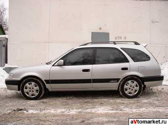 1998 Toyota Sprinter Pictures
