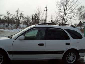 Sprinter Carib