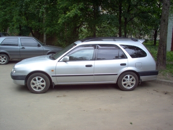 Sprinter Carib