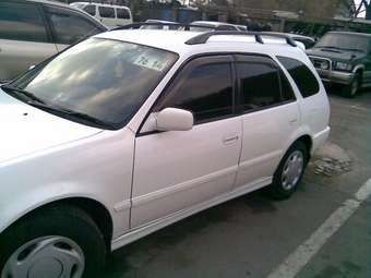 Sprinter Carib