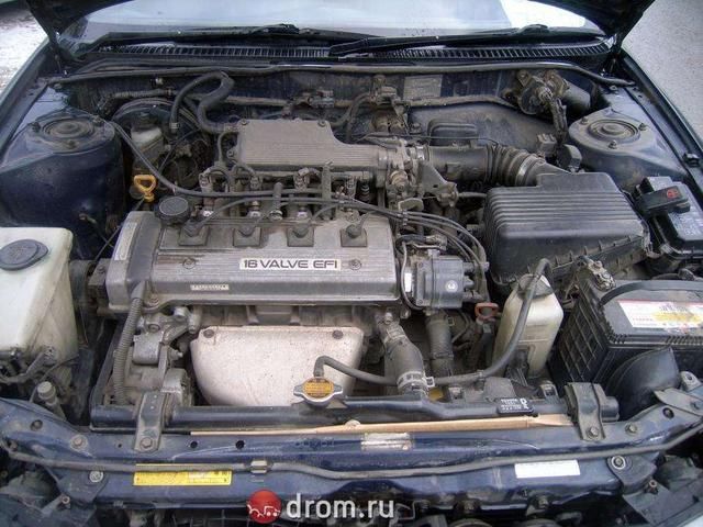 1995 Toyota Sprinter Marino