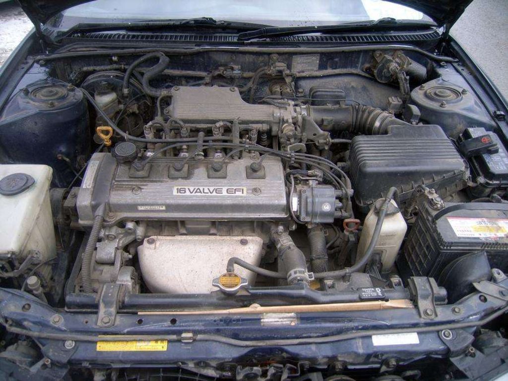 1995 Toyota Sprinter Marino