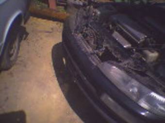 Sprinter Trueno